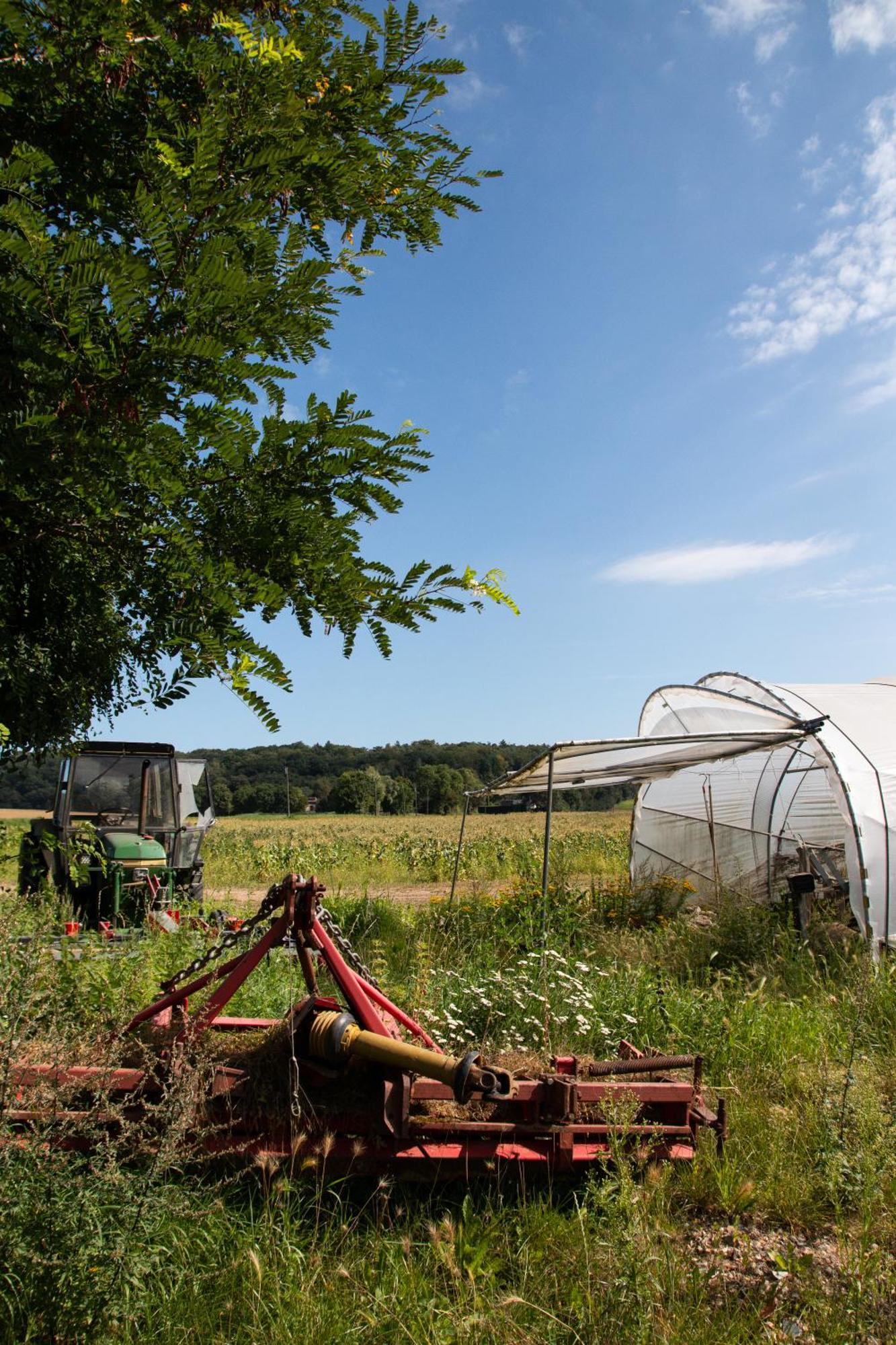 B&B La Ferme De L'Hoste Wavre Zewnętrze zdjęcie